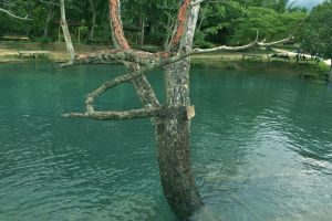 Peluang usaha di kejernihan Kali Biru dan masalah pariwisata Papua