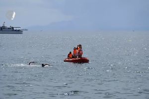 Putra jabar tambah satu medali emas renang terbuka PON XX