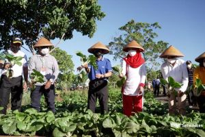 Wapres apresiasi kreativitas Kodam XVIII Kasuari menata lingkungan