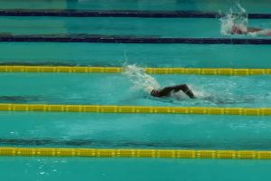 Papua amankan 7 emas di para renang Peparnas