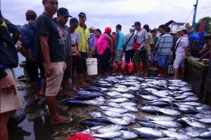 Pengamat Ekonomi dorong Pemprov Papua manfaatkan hasil KTT ASEAN