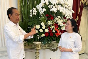 Puan temui Jokowi bahas KTT ASEAN dan hal kebangsaan