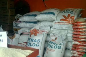 ASEAN-BAC dukung model inklusif pastikan ketahanan pangan kawasan