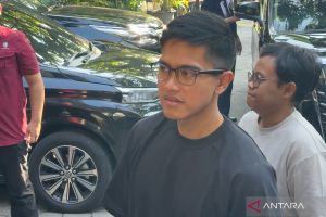 Kaesang soal kampanye bersama Prabowo-Gibran: Saya fokus PSI