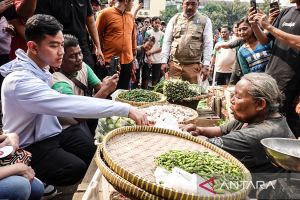 Gibran ke Pasar Induk Kramat Jati, pedagang keluhkan harga cabai rawit