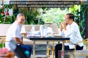 PAN ungkap pesan Jokowi saat makan siang dengan Zulhas