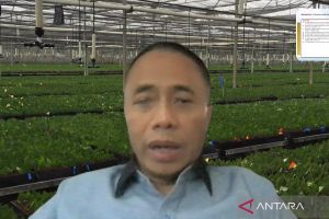 Dewan Pakar TKN: Prabowo-Gibran akan kembangkan bioetanol