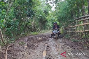 Menelusuri daerah terisolir demi partisipasi pemilih  di NTB