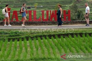 Pengamat: Jatiluwih dapat kesempatan emas dari kunjungan delegasi WWF