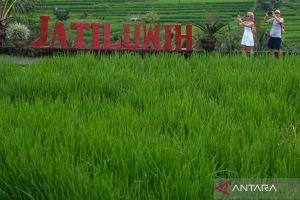 Objek wisata Jatiluwih dipersiapkan untuk kunjungan delegasi World Water Forum