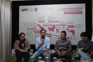 Walhi sebut konservasi air menjadi dasar ekonomi Nusantara
