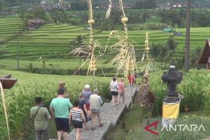 Pengelola: 100 delegasi China ke Jatiluwih saat Word Water Forum 