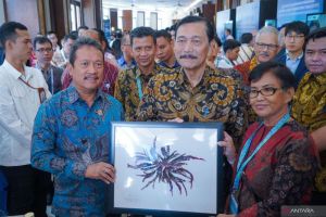 Menteri Trenggono perbanyak modeling rumput laut untuk pacu hilirisasi