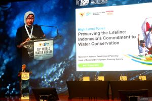 Bappenas soroti solusi berbasis alam untuk pelestarian sumber air