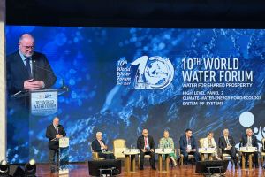 WWC: Solusi air harus dilihat bersamaan dengan solusi pangan