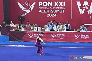 Wushu - Harris Horatius tampil dominan sumbang emas ketiga tuan rumah