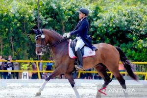 Berkuda-Teuku Rifat Harsya raih dua medali emas equestrian 