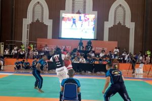 Jabar jadi juara umum cabang tarung derajat PON Aceh-Sumut