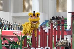Kaltara sabet medali emas barongsai nomor taolu bebas