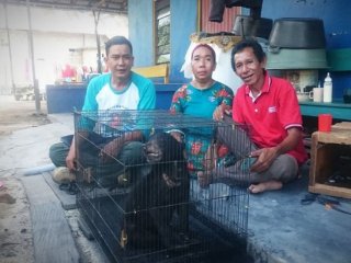 Meski ditawar harga tinggi, Atek tak goyah, tetap menyerahkan anak beruang temuannya ke BKSDA