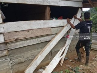 Gangguan gajah di Nagan Raya Aceh belum berakhir
