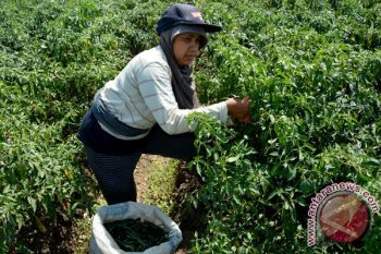 Desa di Bantul harus sejahterakan masyarakat