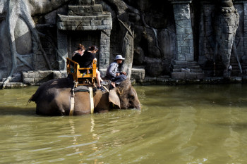Bali warns conservation centers over elephant riding ban