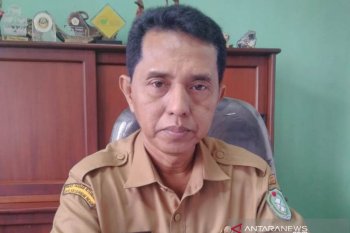 Kalbar menargetkan produksi daging 6.000 ton