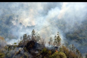 Kebakaran hutan dan lahan di Kintamani