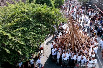 Desa Munggu Badung "dandani" Tradisi Mekotek jadi atraksi wisata