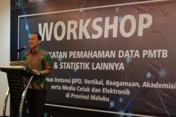 BPS Maluku gelar lokakarya tingkatan pemahaman data PMTB