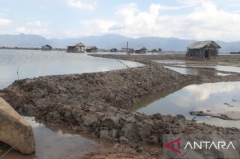 BMKG keluarkan peringatan dini potensi banjir rob setinggi 2 meter di NTB