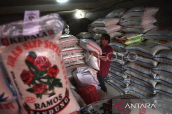 Indef nilai pasokan beras perlu dijaga antisipasi inflasi saat Ramadan