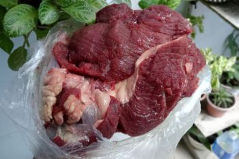 Tips praktis simpan daging kurban di kulkas supaya tahan lama