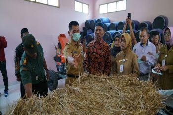 Gunungkidul perbanyak gudang pakan ternak antisipasi kemarau