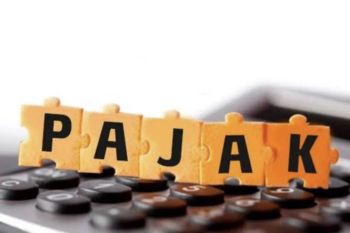 Mendorong pertumbuhan investasi di era pajak minimum global