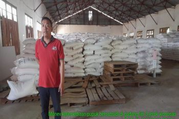 Dinas Pertanian Gunungkidul jamin ketersediaan pupuk bersubsidi aman