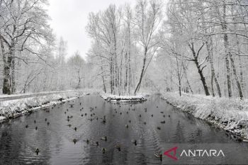 Duck Syndrome: tenang di luar, panik di dalam
