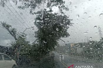 BMKG: Senin 11 Agustus Sejumlah wilayah di Indonesia berpotensi hujan disertai petir
