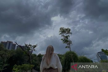 BMKG: Waspadai hujan petir pada Senin