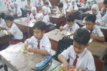Pajak opsi ajeg danai program makan bergizi