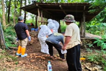 DPKH Gunungkidul memastikan tak ada perkembangan kasus antraks