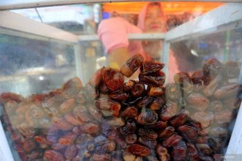 Kurma, nilai spiritual dan potensi ekonomi