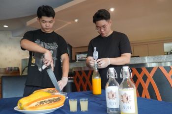 Mahasiswa PCU Surabaya berhasil olah pepaya jadi wine bernilai ekonomis