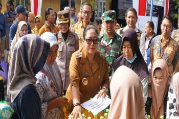 Pemkab Gunungkidul menjual produk petani lokal dalam Gerakan Pangan Murah