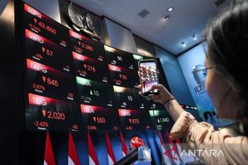 Peluang investor dalam fase transisi setelah anjloknya IHSG