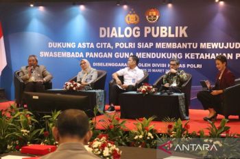 Mengapa sekadar swasembada pangan tak cukup bagi Indonesia?