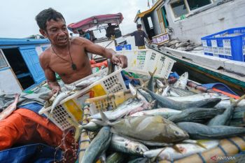Govt ensures availability of fishery products amid global tensions