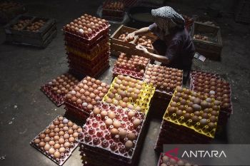 Relevansi peran koperasi untuk dorong target pertumbuhan ekonomi Indonesia