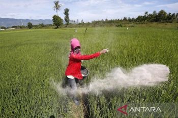 Pangan kuat, negara berdaulat